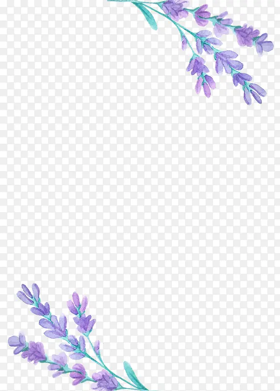 Ψ��޹�²�-������