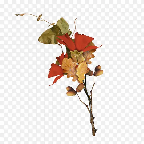 �����ɫҶ����֦-������