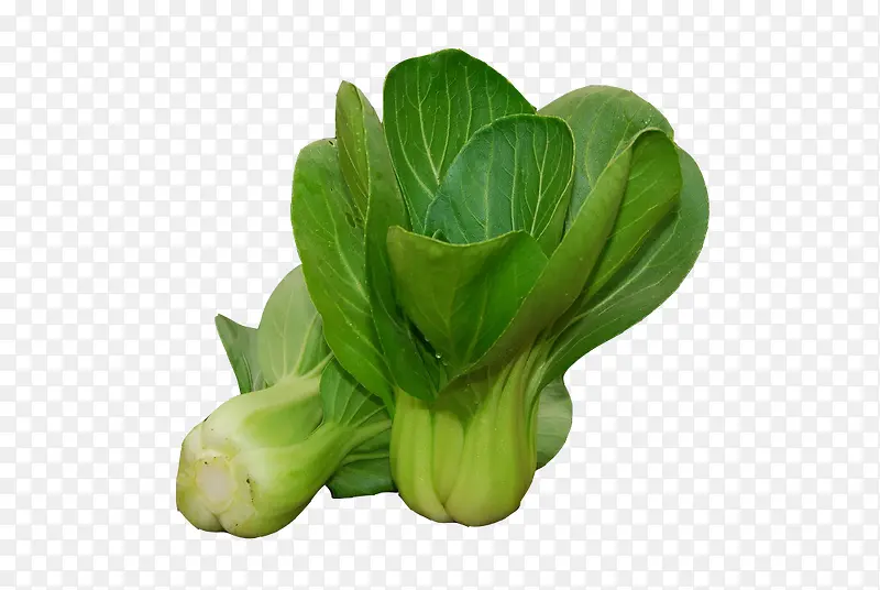 ��ɫ�Ͳ�-������