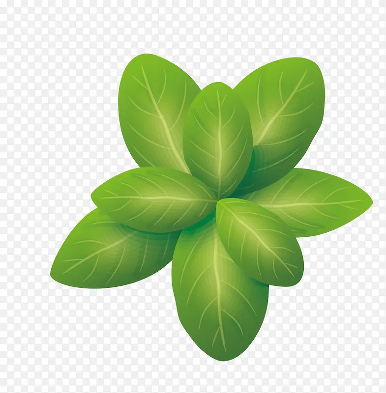 �ֻ���ɫ��С�Ͳ�-������