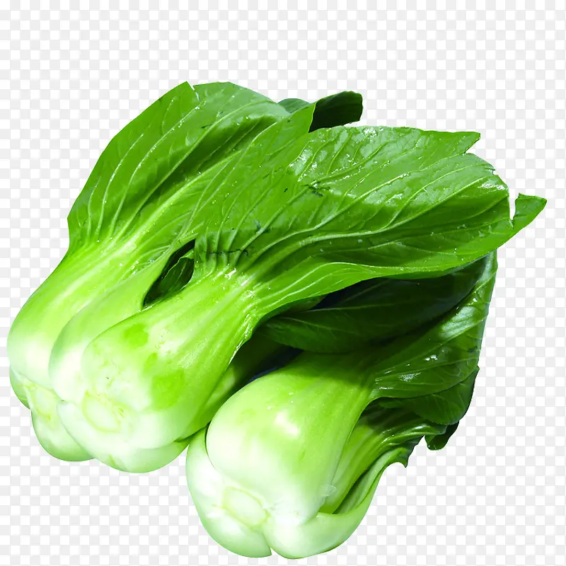 ��ɫ�߲�-������