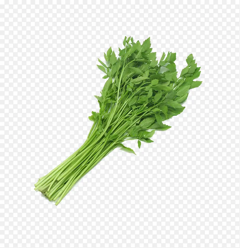 ��ɫ���߲�-������