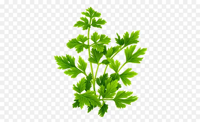 �߲�-������