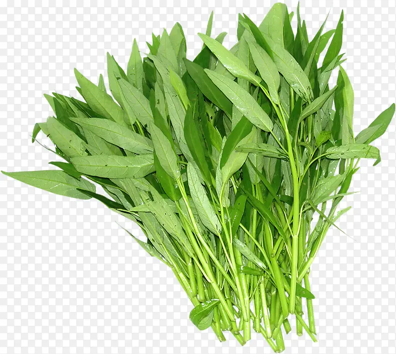 �߲�-������