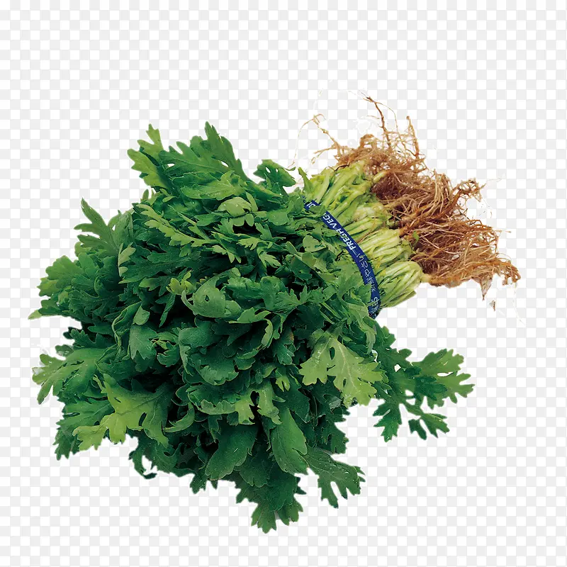 �߲�����-������