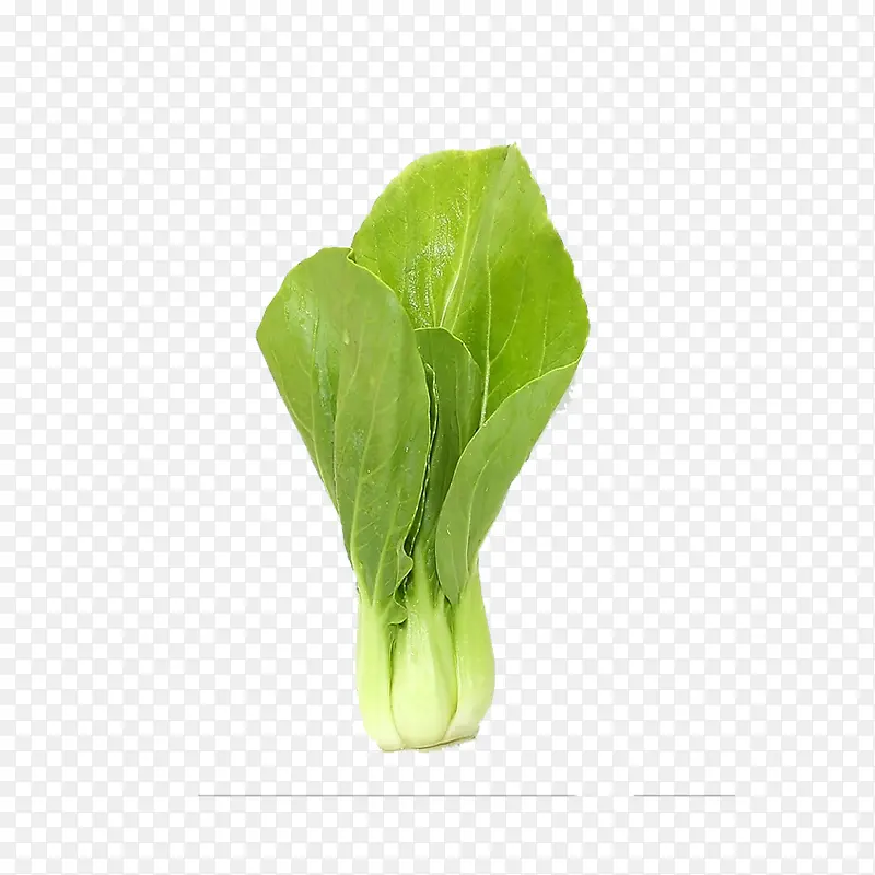 �߲�-������