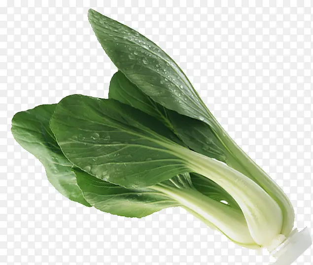 ��ɫ���-������