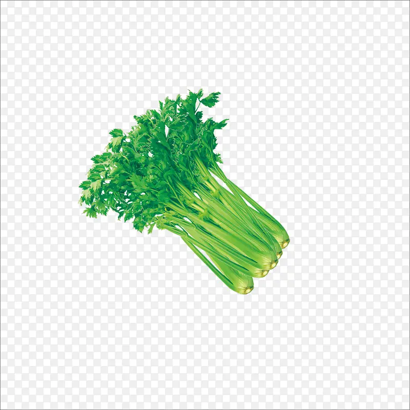 �۲�-������