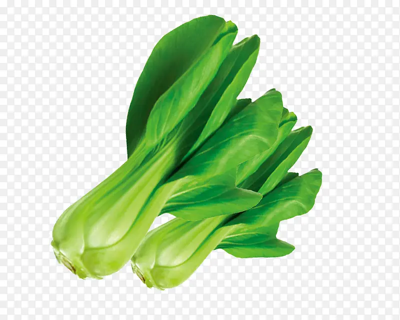 ��ɫ�߲�-������