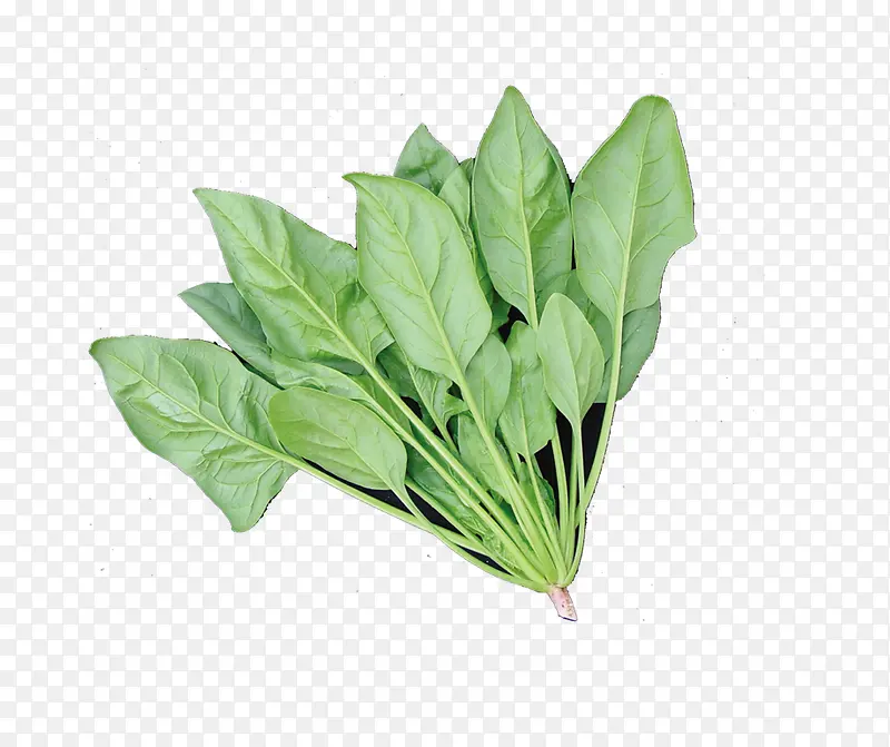 ��ɫ�߲�-������