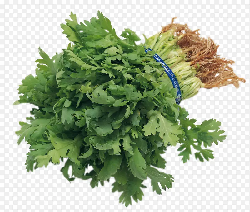 ��ɫ�߲�-������