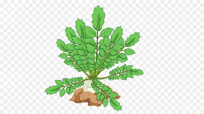 �ܲ�-������