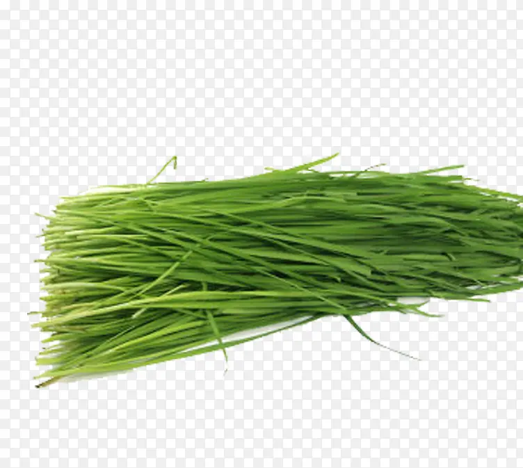 ��ɫ�²�-������