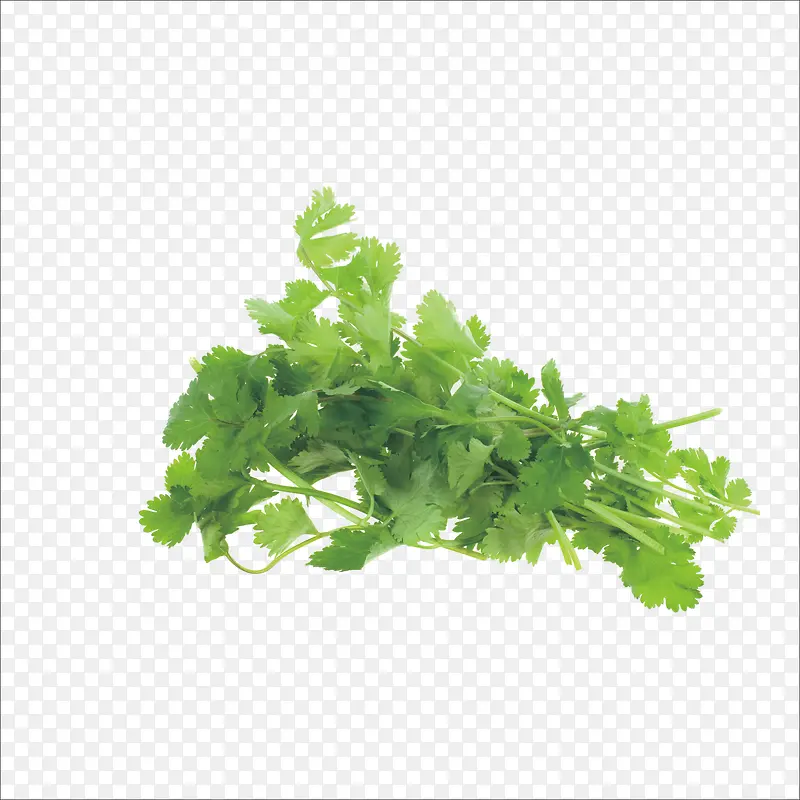 ��ɫ��������߲�-������