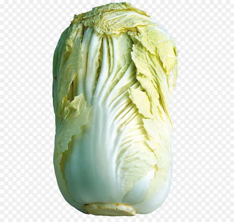 ��ɫ�߲�-������