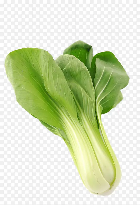 С�ײ˲�Ʒʵ��-������