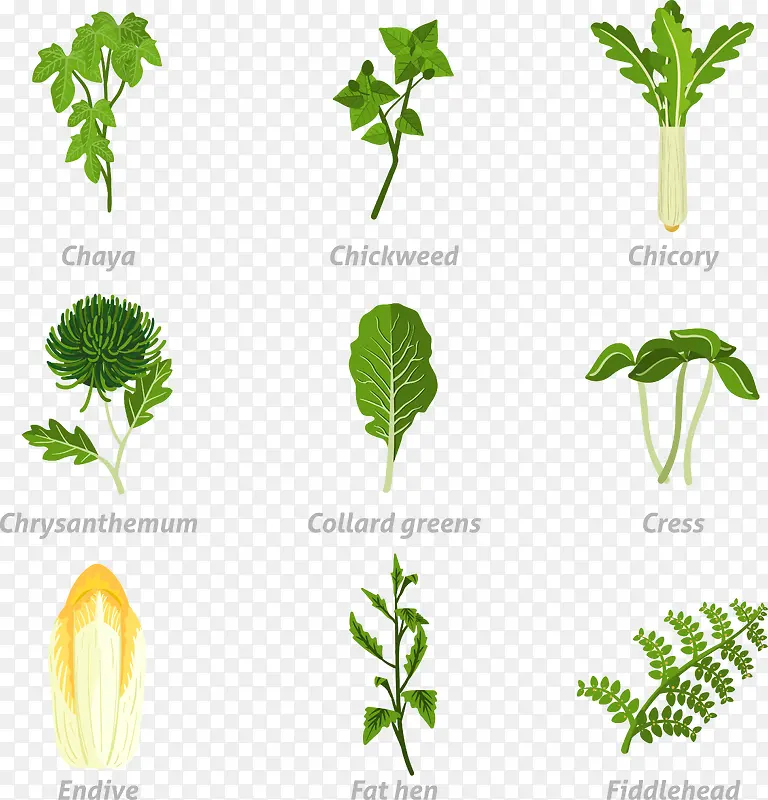 ʸ���ֻ��߲�-������