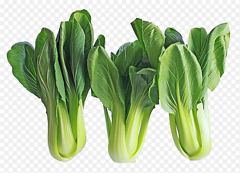 �߲�-������