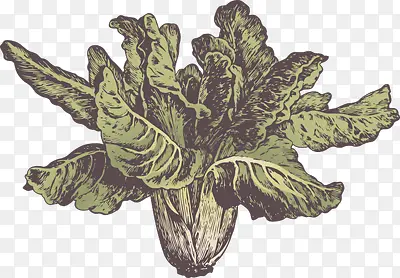 �ֻ��ϰײ�-������