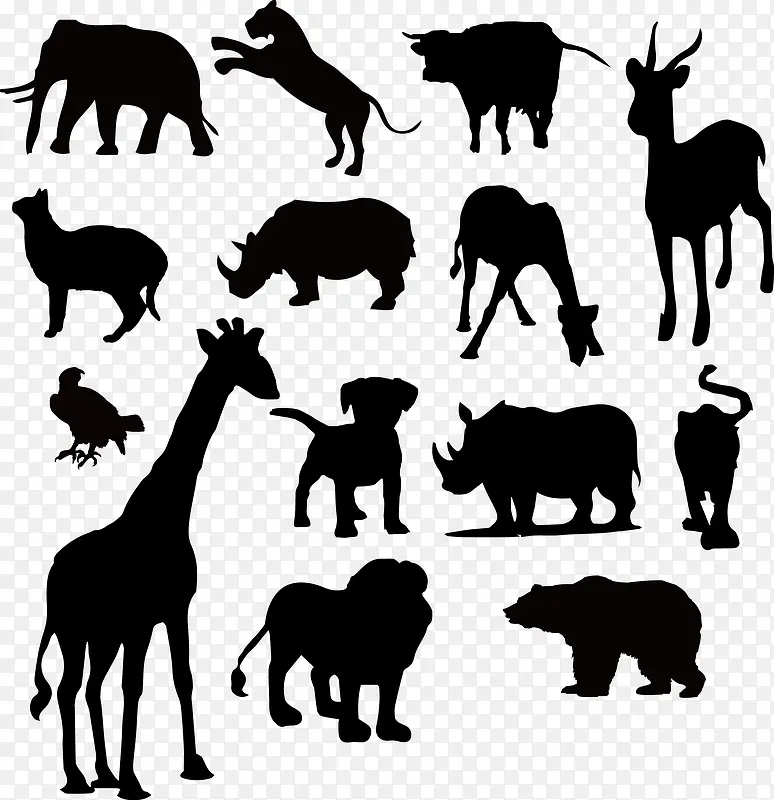 �����Ӱ ��Ӱ-������