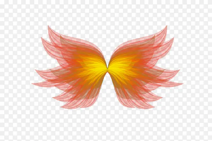 ��ɫ��ʹ���-������