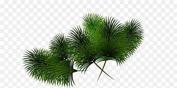 ����ʥ����ʥ������֦-������