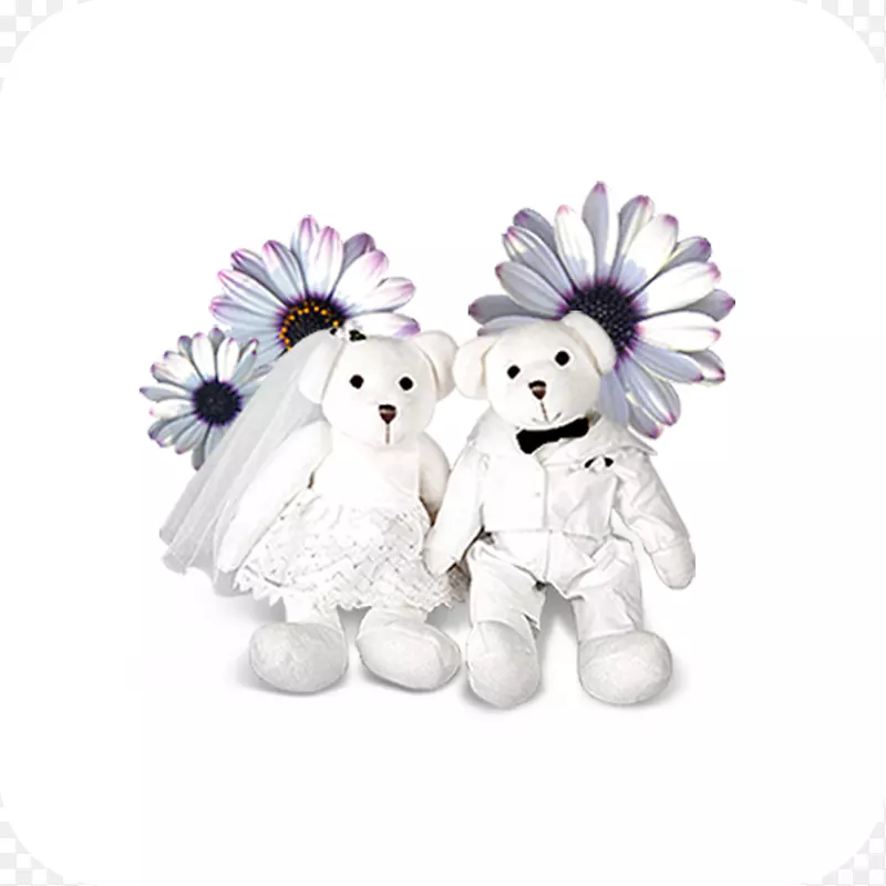 Android����koninkrijk-������ԡ-������