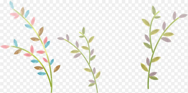 �ֻ��ɫ������Ҷ-������