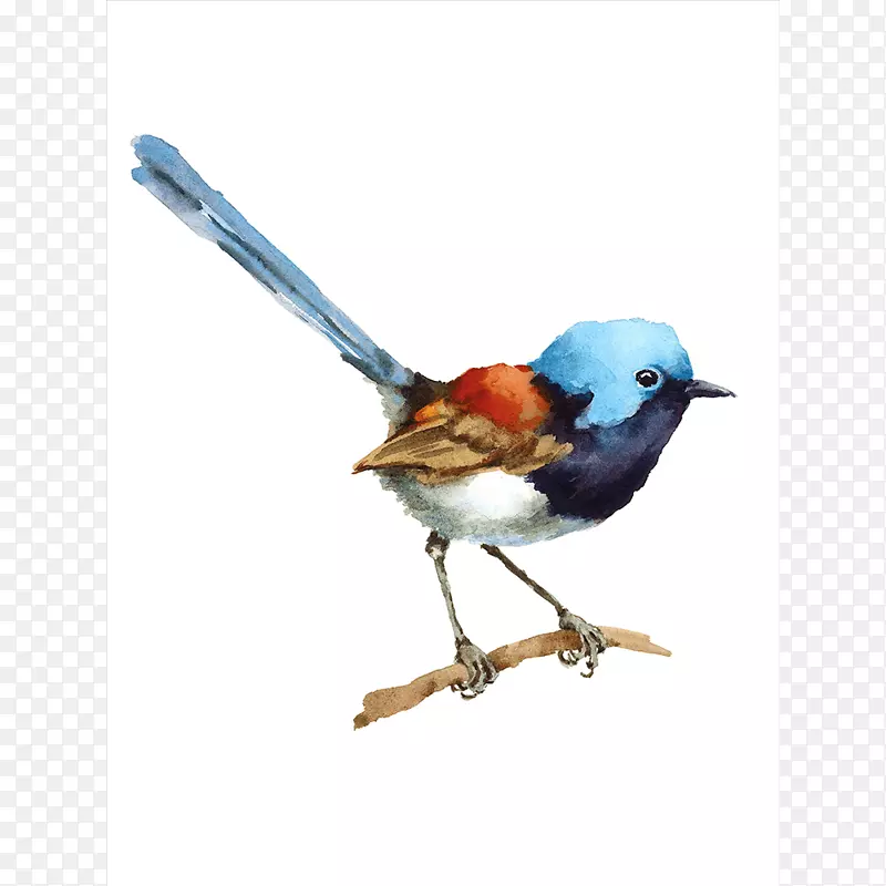 ˮ�ʻ�-������