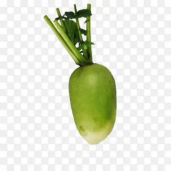 �����߲��ܲ�-������