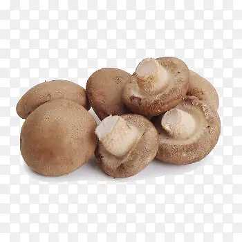 �����㹽-������