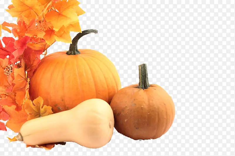 �����߲�-������