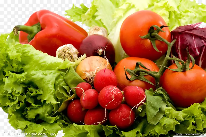 �����߲�-������