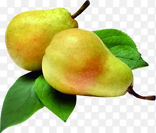 ���������߲˱���ͼ-������