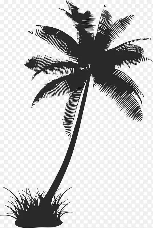 ����Ӱ-������