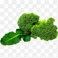 ����-������