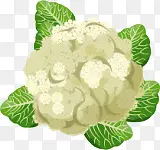 ��ɫ�߲�-������