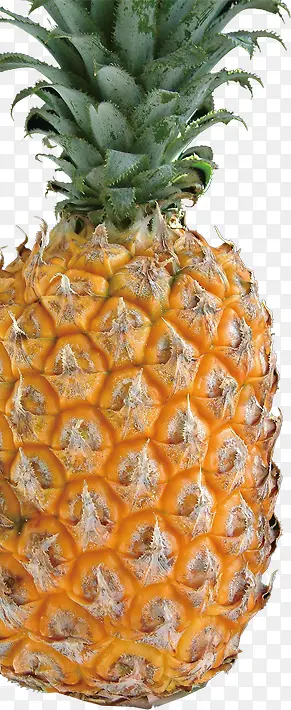 ˮ��-������