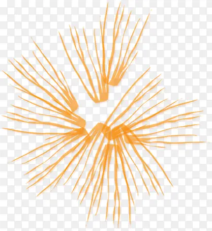 �����ɫ��������-������