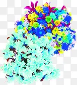 ��ɫ����Ψ������-������