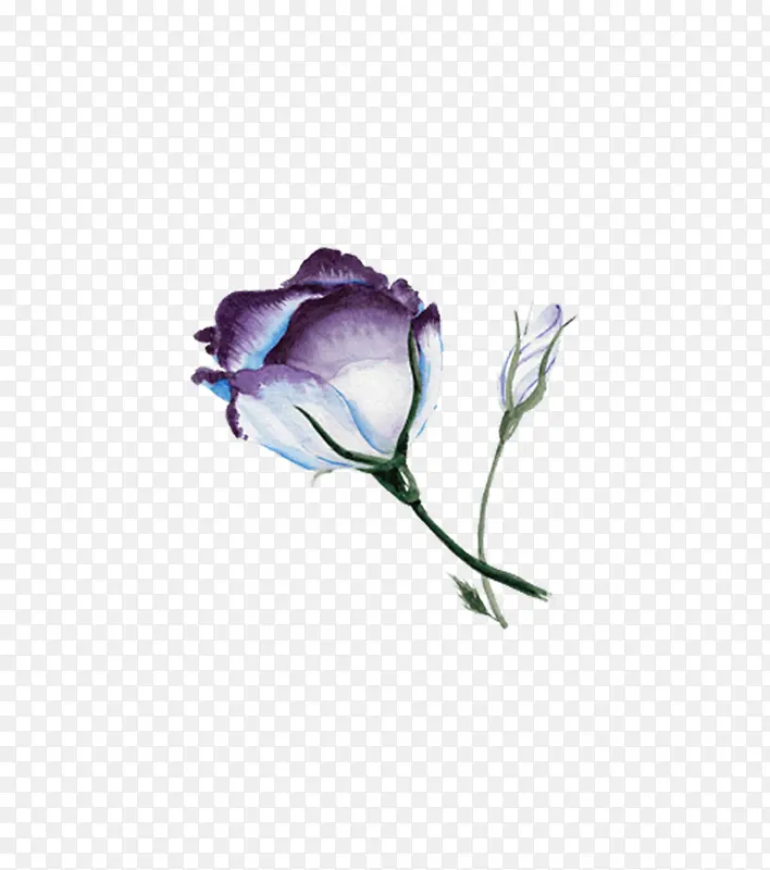 �ֻ滨��-������