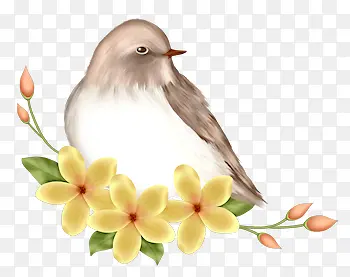 �ֻ滨����ȸ-������