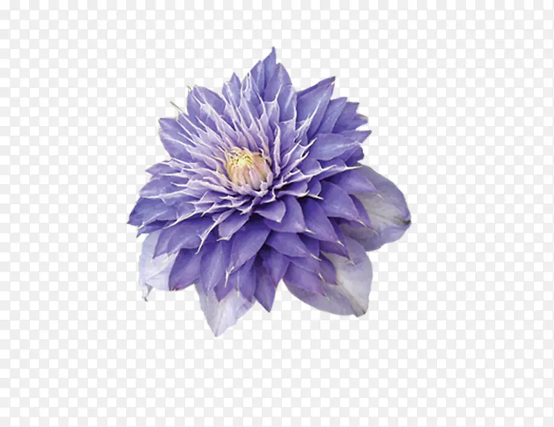 ��ɫ�ֻ滨-������