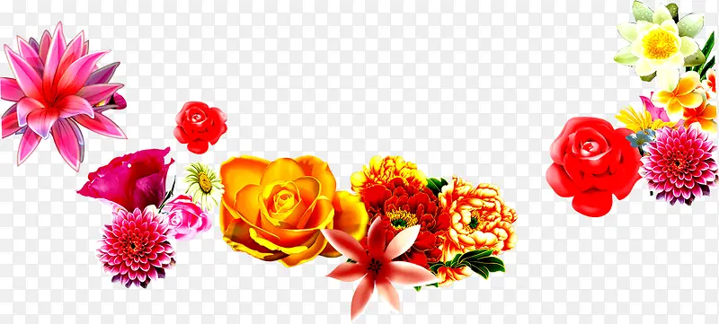 ��ɫ����ֲ���ֻ�-������