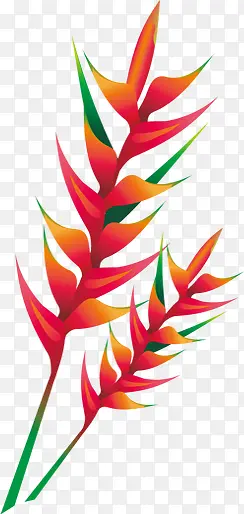 ��ɫʱ��Ѥ��������Ҷ-������