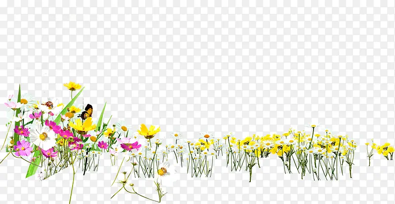 ��ɫ�ֻ滨�仧��-������