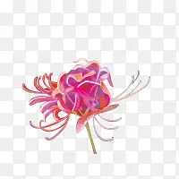 �ֻ��ɫ��������-������