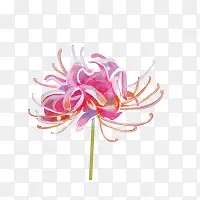 ��ɫѤ�������ֻ�-������