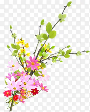 ��ɫ������֦װ��-������