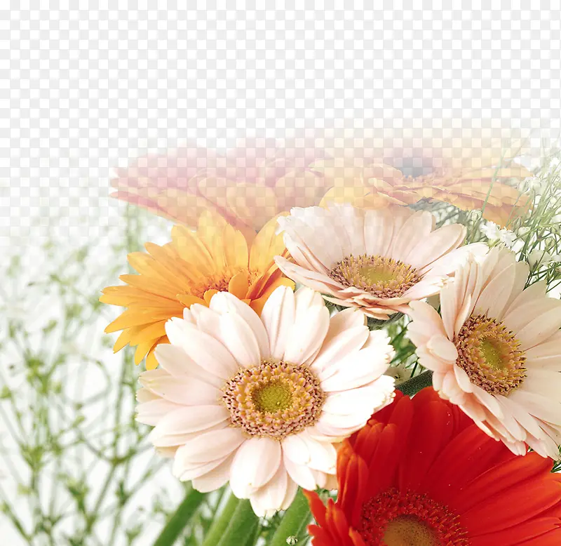 ��ɫ���廨��羰-������